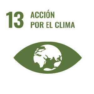 13. Acción por el clima
