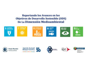 Webinar: Reportando los Avances en los Objetivos de Desarrollo Sostenible (ODS) de la dimensión medioambiental @ Webinar