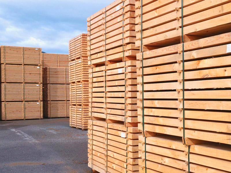 El sector forestal-madera de Euskadi encara el futuro con optimismo en un contexto de precios alcistas de la materia prima y apuesta por la innovación para ganar competitividad